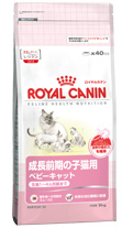 ロイヤルカナン ベビーキャット画像